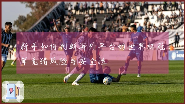 新手如何判断海外平台的世界杯冠军竞猜风险与安全性