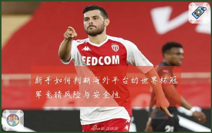 新手如何判断海外平台的世界杯冠军竞猜风险与安全性