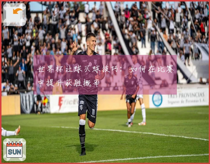 世界杯让球买球技巧：如何在比赛中提升获胜概率