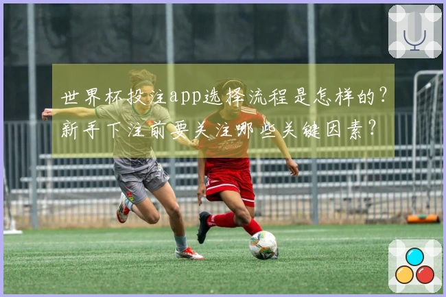 世界杯投注app选择流程是怎样的？新手下注前要关注哪些关键因素？