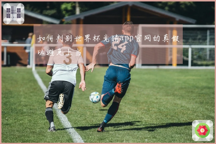 如何判别世界杯竞猜app官网的真假以避免上当