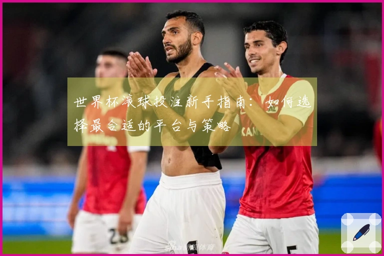 世界杯滚球投注新手指南：如何选择最合适的平台与策略