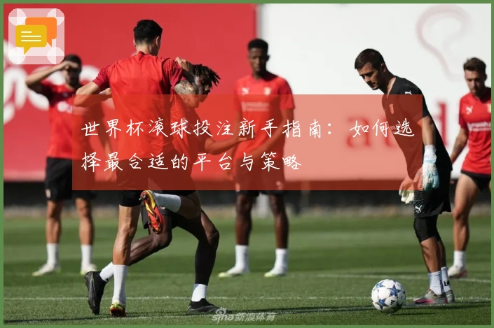 世界杯滚球投注新手指南：如何选择最合适的平台与策略