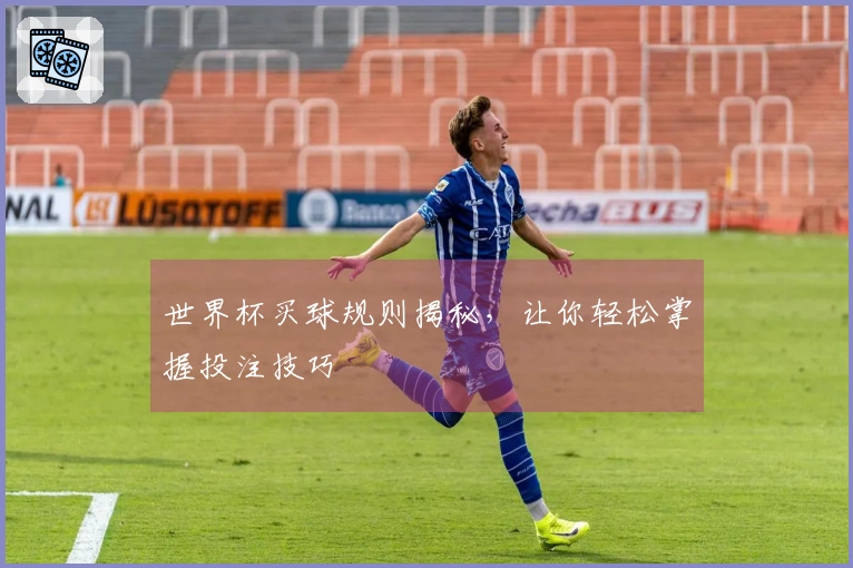 世界杯买球规则揭秘，让你轻松掌握投注技巧