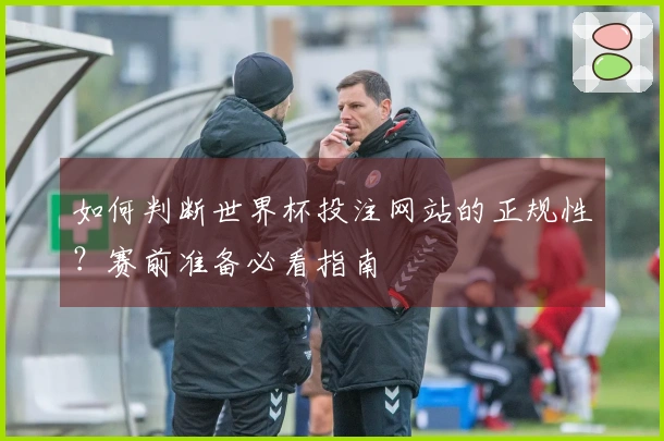 如何判断世界杯投注网站的正规性？赛前准备必看指南