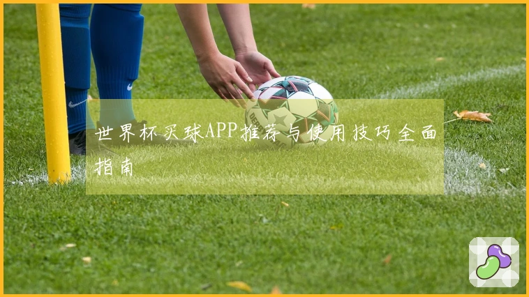 世界杯买球APP推荐与使用技巧全面指南