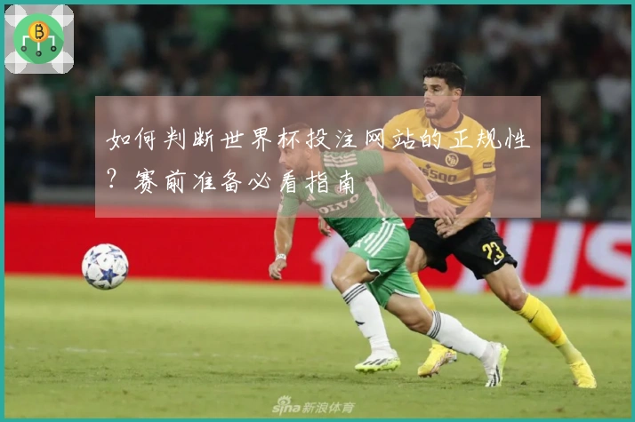 如何判断世界杯投注网站的正规性？赛前准备必看指南
